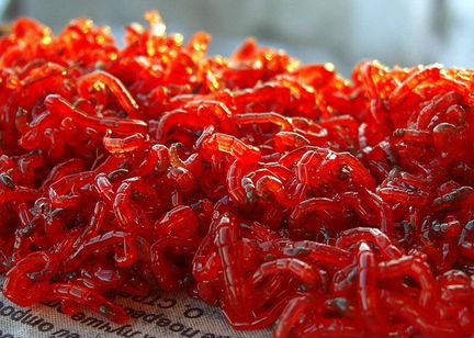 Мотыль, Червь, опарыш