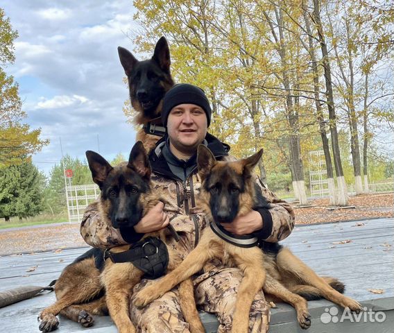 Кинолог эксперт. Оплата за результат. Гарантия