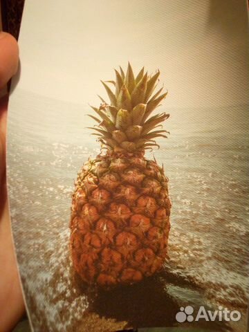 Картина Ананас и Море