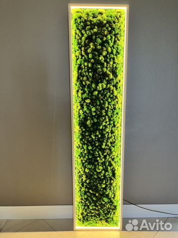 Панно со мхом