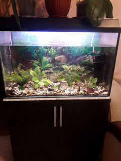 Аквариум