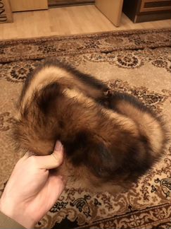 Новая Шапка из меха хорька