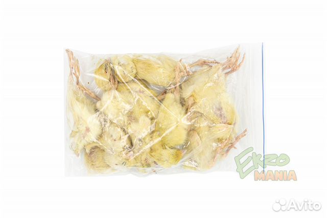 Кормовые суточные цыплята заморозка