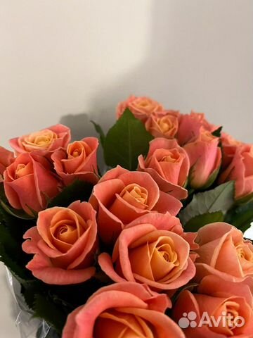 Роза букет цветов подарок