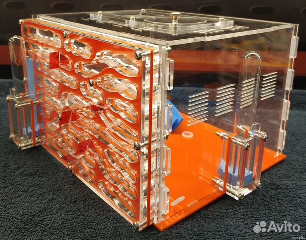 Настоящие Муравьные Фермы, Муравьи, Доставка