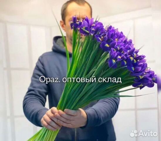 Ирисы цветы