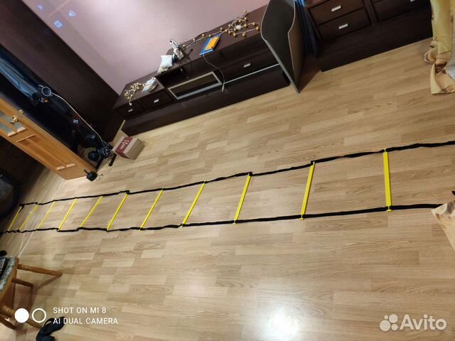 Координационная лестница