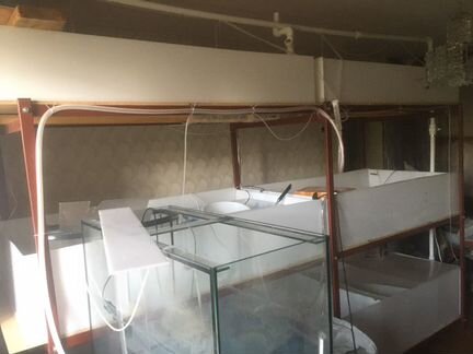 Узв для ракообразных