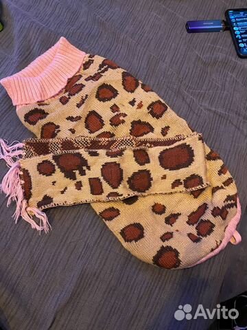 Одежда для собак, амуниция