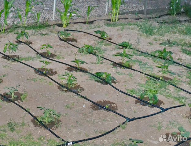 Капельная лента Капельный полив