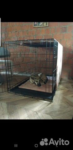 Клетка в аренду