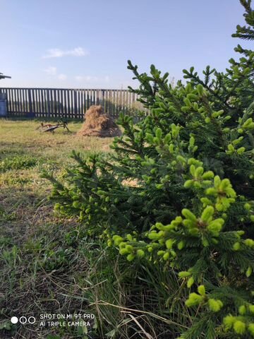 Участок 15 сот. (СНТ, ДНП)