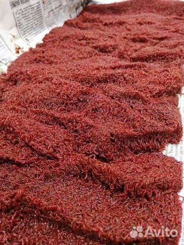 Мотыль кормовой, лиман 1 килограмм