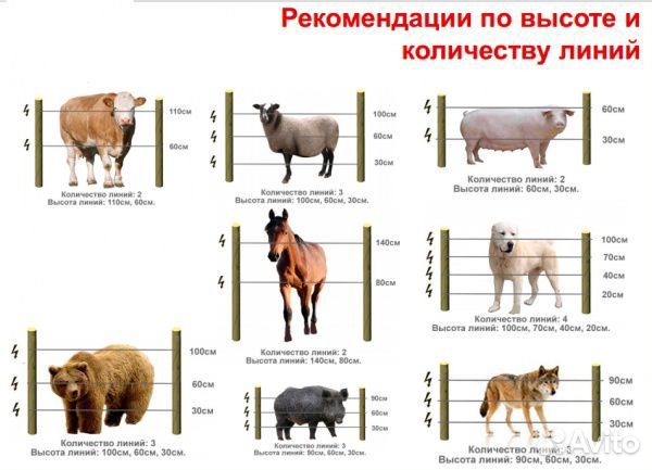 Электропастух для коров, телят, свиней, кроликов