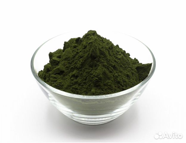 Хлорелла порошок микроводоросль, опт и розн