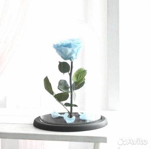 Роза в колбе. От производителя