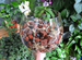 Грунт для орхидей №1 (кора,мох,уголь,керамзит)