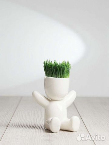 Набор для выращивания