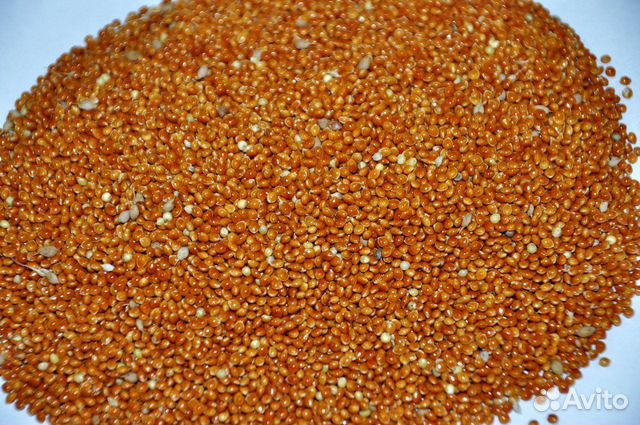 Разнотравье.Просо.Отсев.Дикорос.Семечки.Рапс