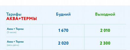 Билет в Н2О на целый день аква плюс термы