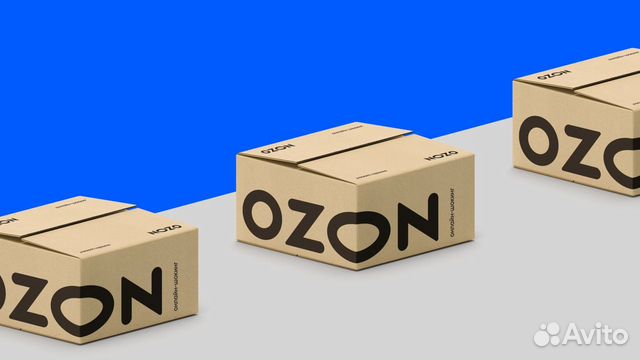 Курьер вечерние и ночные смены (в Ozon)