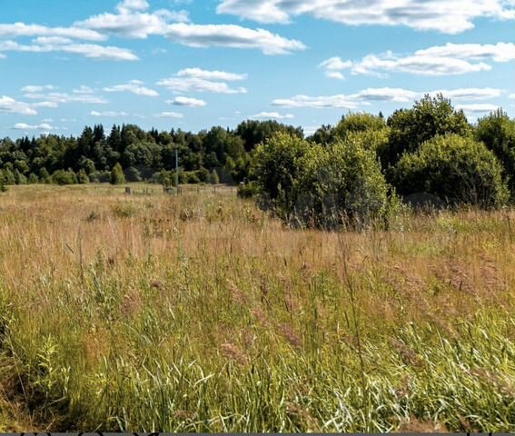 Участок 24 сот. (СНТ, ДНП)