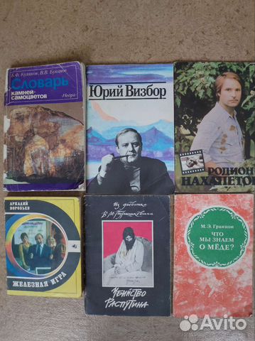 Книги. Разная тематика. Визбор. Распутин. Камни