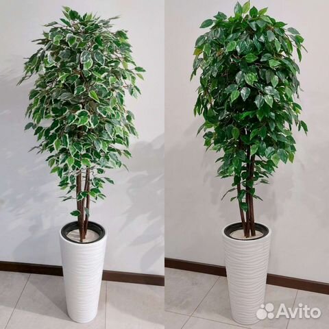 Искусственное дерево растение фикус Бенджамина