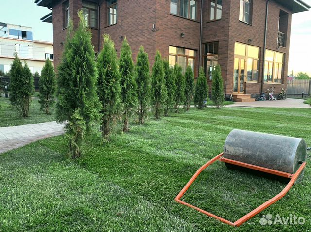 Рулонный газон 