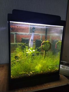 Креветочник 20л