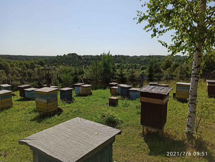 Пчелосемьи - фотография № 8