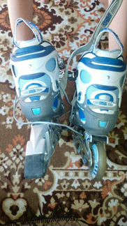 Ролики fila + защита. на ногу 24-24,5 см