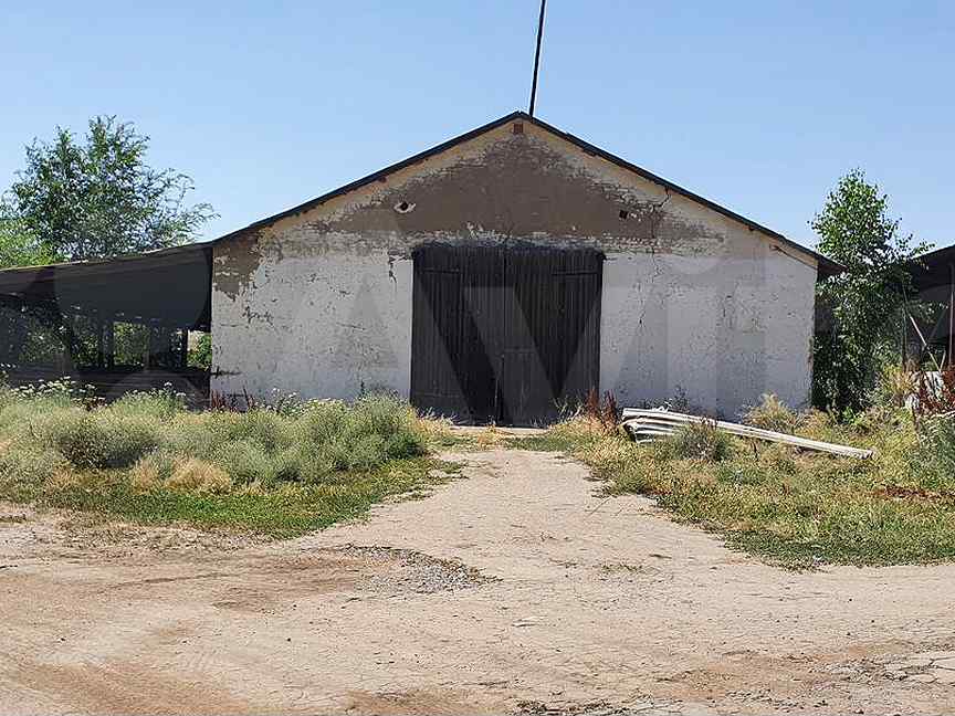 Погода виноградное калмыкия. Виноградное Калмыкия Городовиковский. Село виноградное Городовиковский район. С виноградное Городовиковск. Элиста - виноградное.