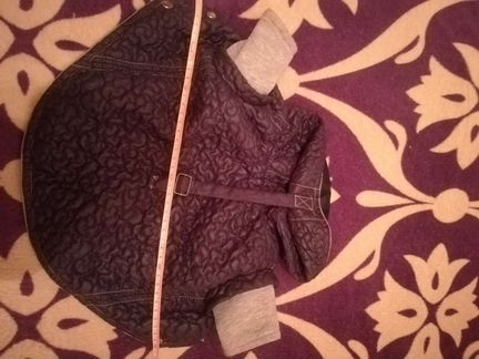 Курточка модная для собак маленьких пород