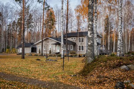 Дом (Финляндия)