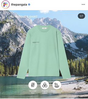 Свитшот The pangaia