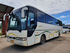 Туристический автобус MAN Lion's Star объявление продам