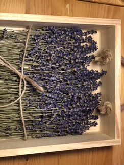 Высушенная лаванда