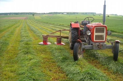 Ножи для косилки Виракс, Лисицки