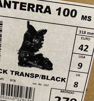 Горнолыжные ботинки