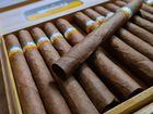 Оригинальные кубинские сигары Cohiba Esplendidos объявление продам