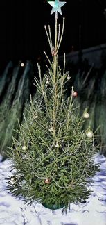 Русская Елка