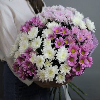 Хризантемы