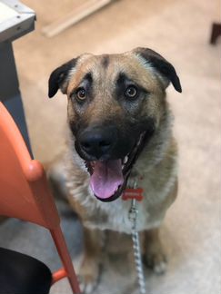 Джек ищет дом