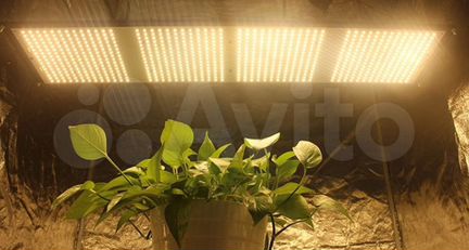 Фитолампа quantum board полный спектр 163 Вт