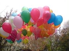 Композиция из 100 воздушных шаров