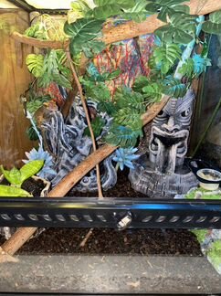 Террариум Exo Terra 45/45/45 под ключ для бананоед