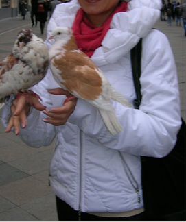 Куртка