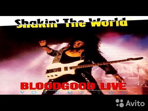 Bloodgood - Shakin' The World: Live Volume Two 89058588885 купить 2